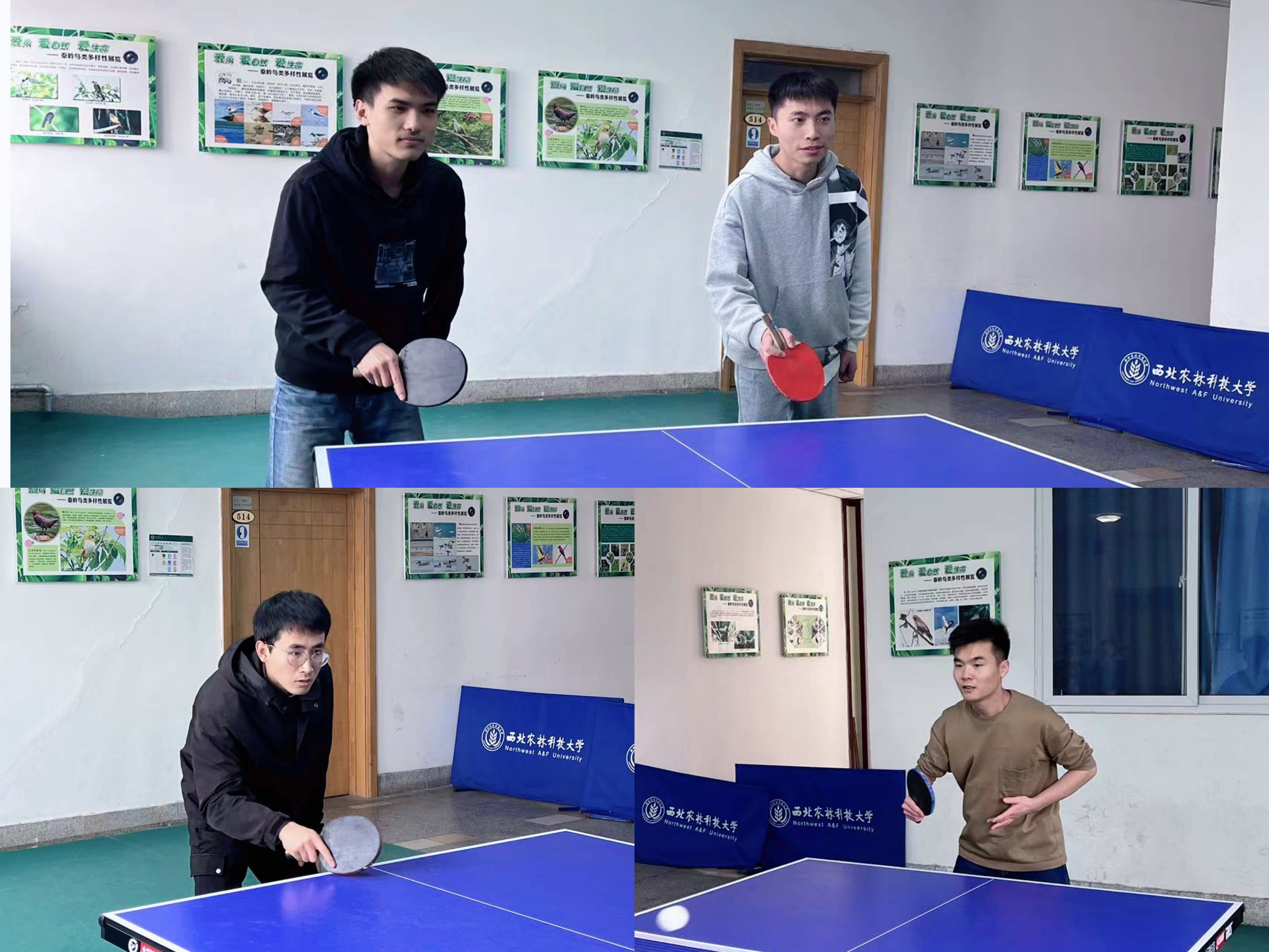 8791d22f2a3e4383b48cd7191df4862b.jpg 8791d22f2a3e4383b48cd7191df4862b.jpg