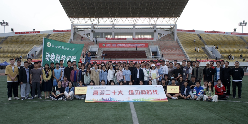 378da3117af14a97b99485a687c999f5.jpg 5.jpg